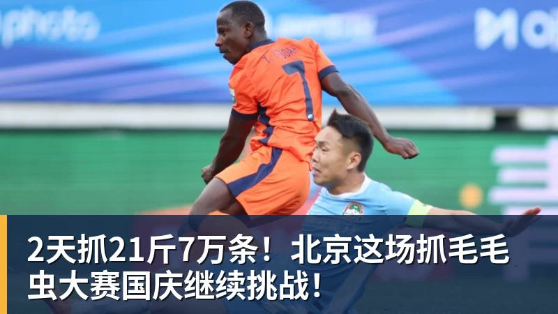 2天抓21斤7万条！北京这场抓毛毛虫大赛国庆继续挑战！